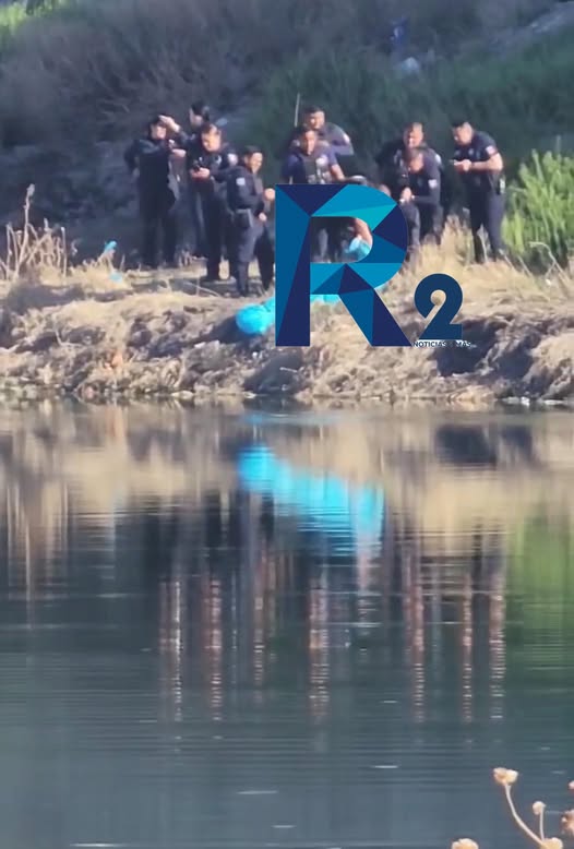 646865568_1397546785723158_6339891968523477988_n.jpg