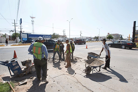Baches-1.gif