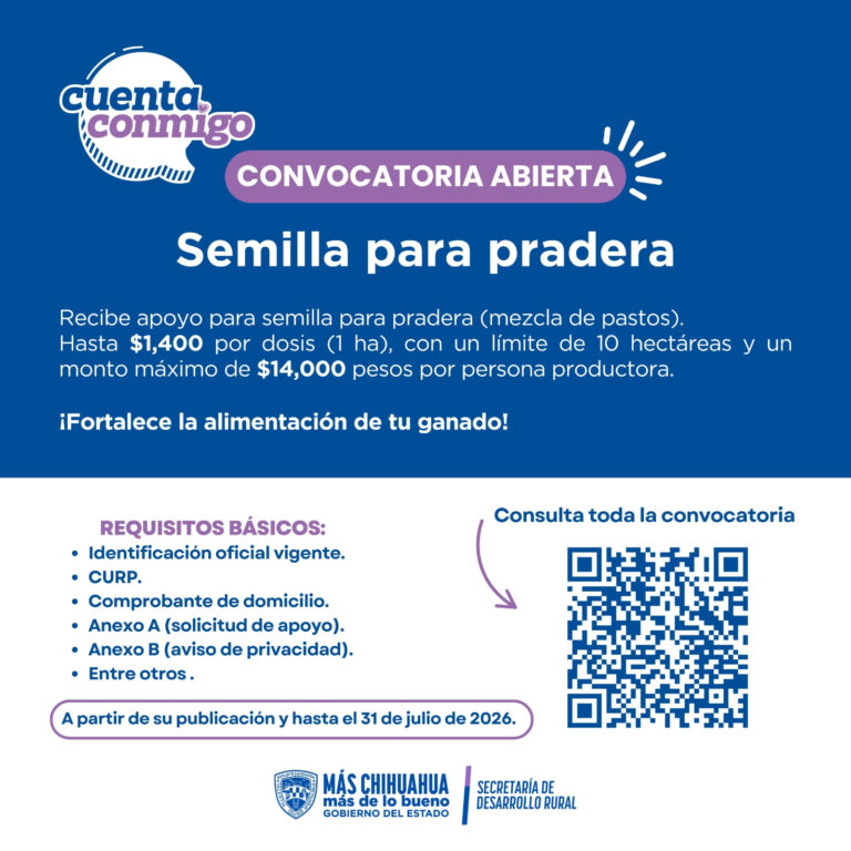 c9876f38-96f7-4f7e-91cc-487055dd26eb.jpg
