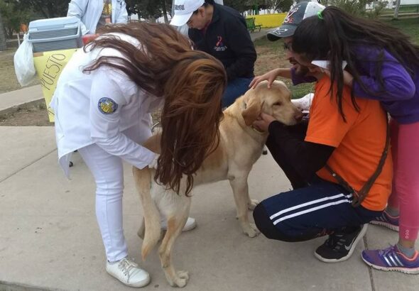 VacunacionmascotasUACJ.jpeg