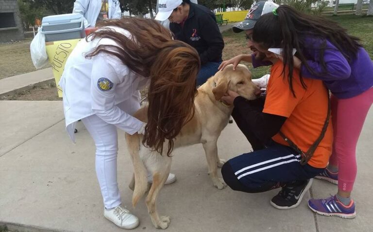 VacunacionmascotasUACJ.jpeg