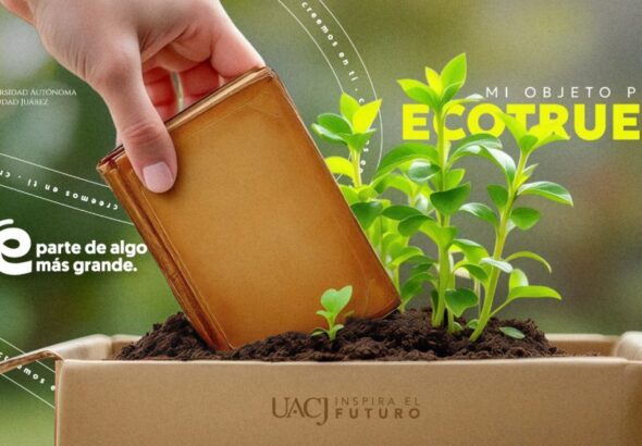 Ecotruque-1140x570.jpeg