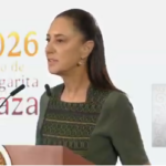 SHSHSHCaptura-de-pantalla-2026-06-12-081119-1.png