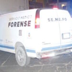 semefo-2.jpg