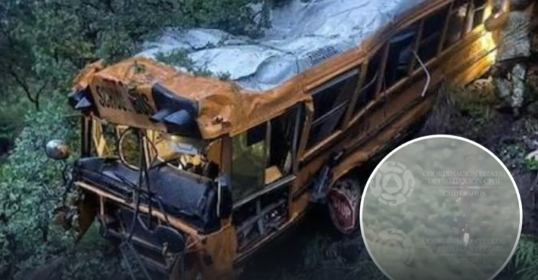 CAMION.png
