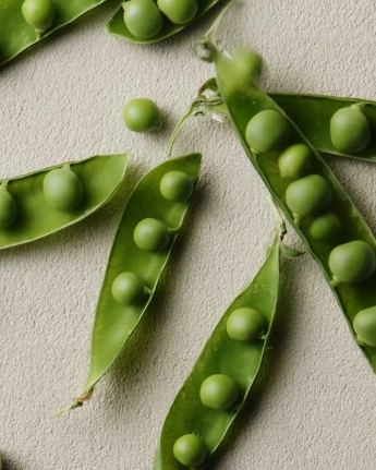 GUISANTES.png