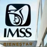 IMSS.png
