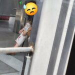 BUS.jpg