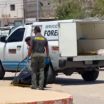 EXPLANADA.png