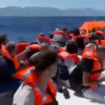 FERRY-1.png