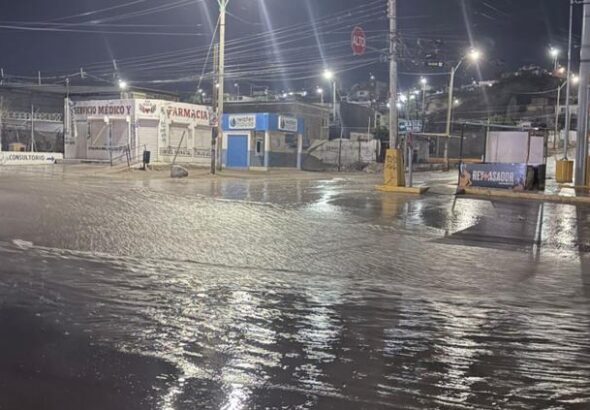 LUVIAS.jpg