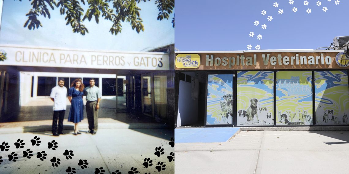 UNA HISTORIA DE CUATRO PATAS; 40 AÑOS DEL HOSPITAL VETERINARIO UNIVERSITARIO PERROS Y GATOS DE LA UACJ