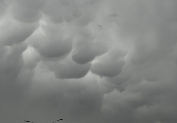 592ba075-73ed-4c28-a751-eb4568bdb779.jpeg