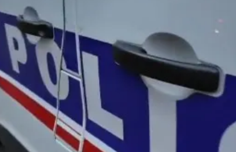 TREN-1.png