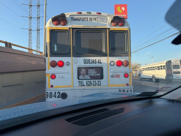 d567ab77-7645-4934-9871-c274e7bf84c9.jpeg
