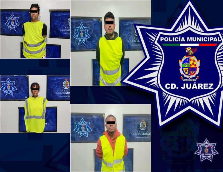 046d333b-6afb-4cfc-9a28-953377bef337