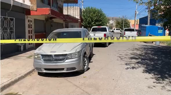 849753685_4670479606514890_6728393436623087319_n.jpeg