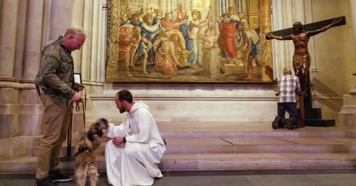 LLL17542086907312299899.jpeg