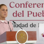 SHSHSHCaptura-de-pantalla-2026-10-06-080708.png